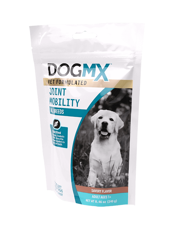 Beg plastik boleh ditutup semula dengan baik dengan beg percetakan pelanggan